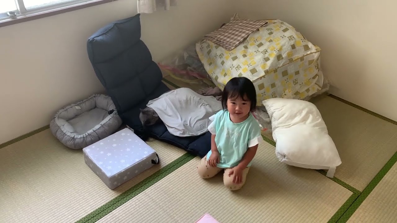 ぺぺ(ロシアンブルー)に布団をかけてあげるも、噛まれる娘