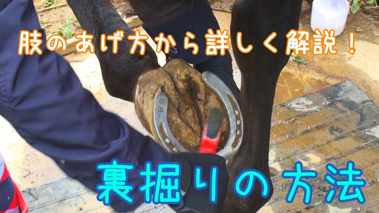 【解説】裏掘りするよ！