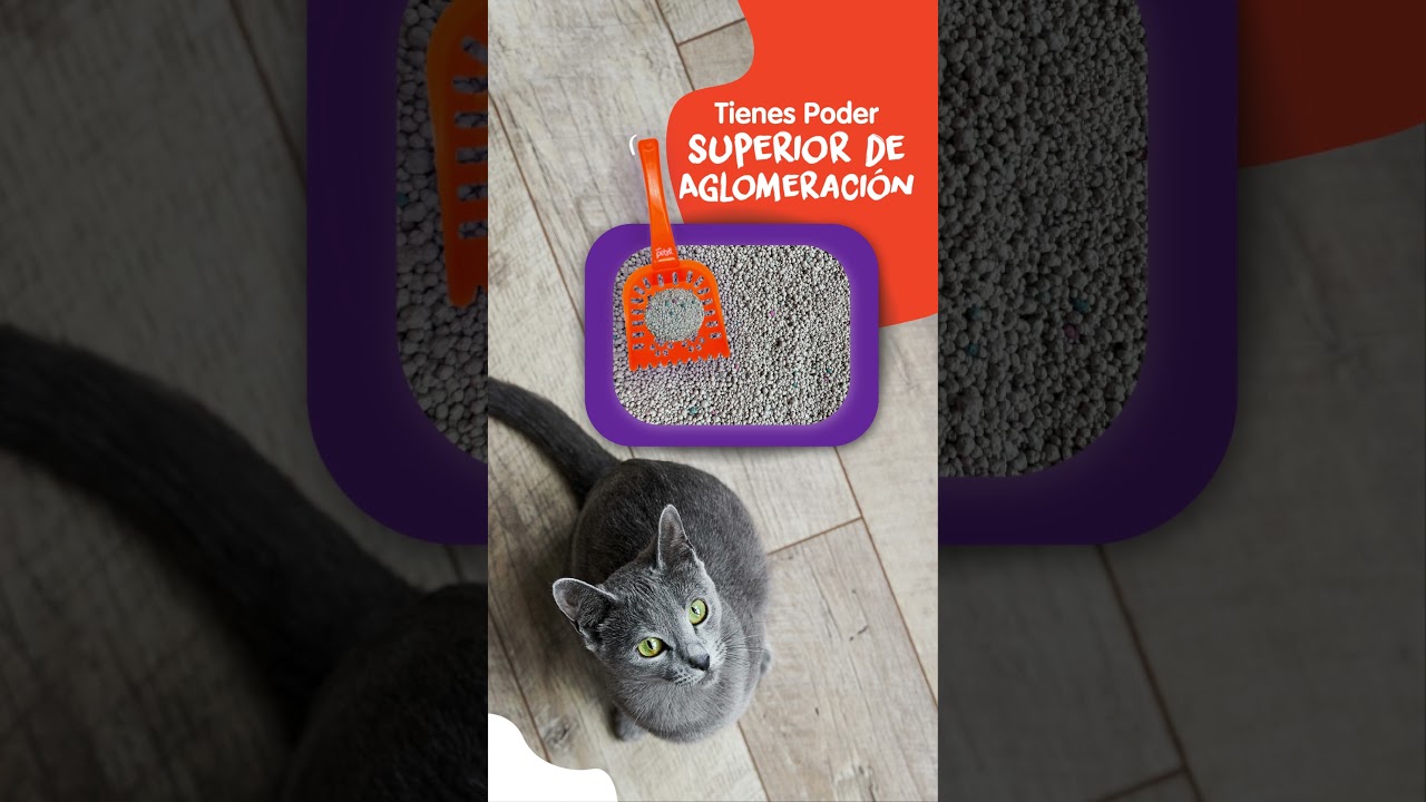 Nuestra Arena para gatos Petys cuenta con gran aglomeración que mantiene el arenero más limpio 😻💚