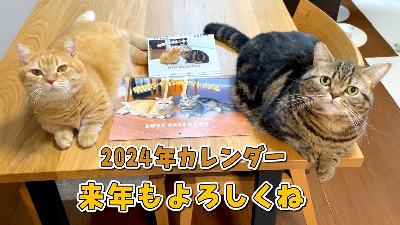 2024年カレンダーの可愛い写真一気見せしちゃいます！【店頭販売も】