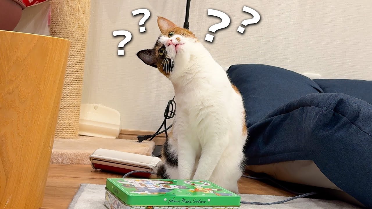 骨折れるくらいの角度で首を傾げるほど不思議なことがあったみたいです。