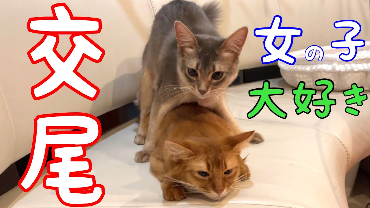 初々しい息子の成長記録❗️【ソマリ】