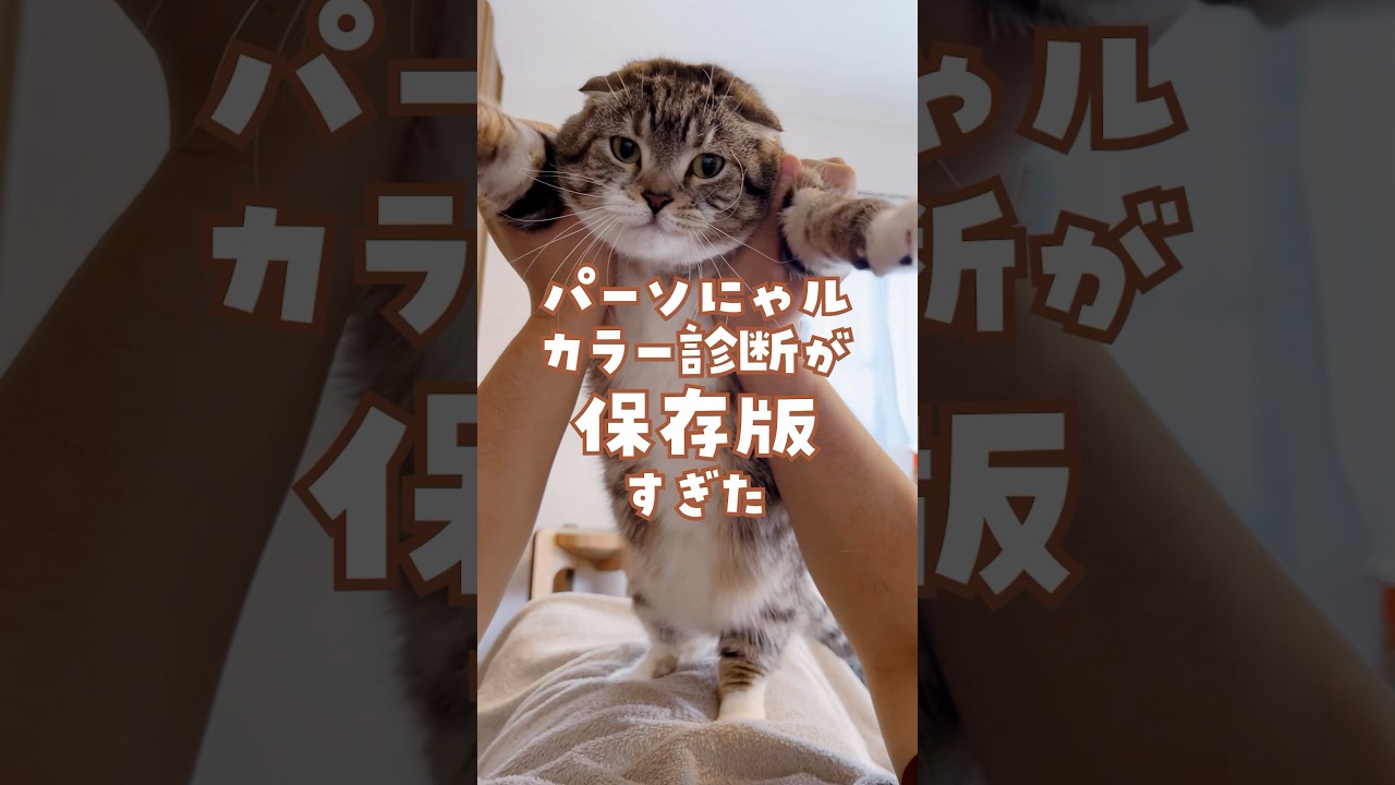 あなたの猫に似合う色はコレ！