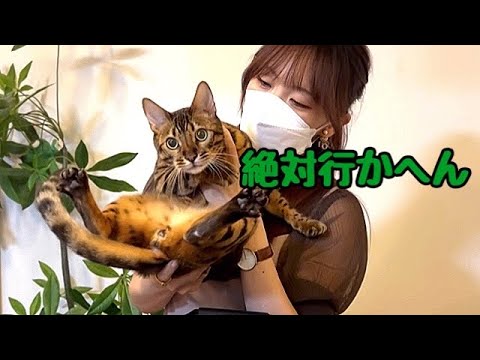 手術するかどうか決めに行きます