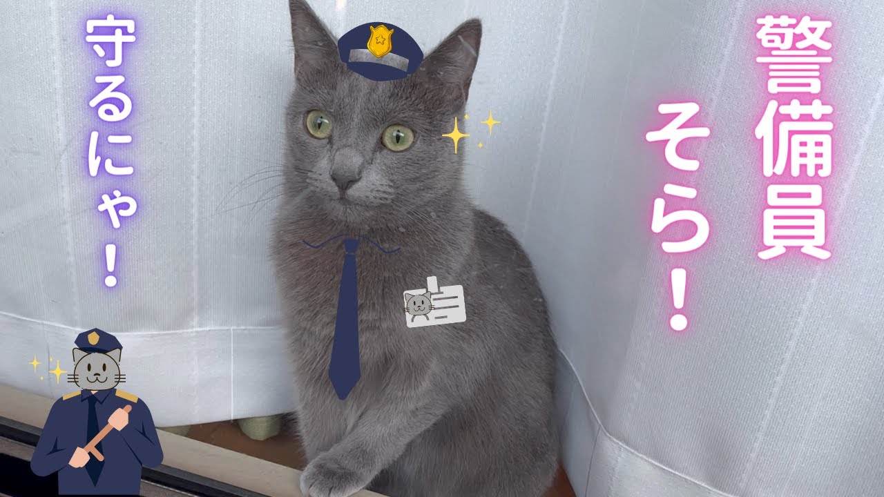 自宅警備員そら！！（ロシアンブルー）