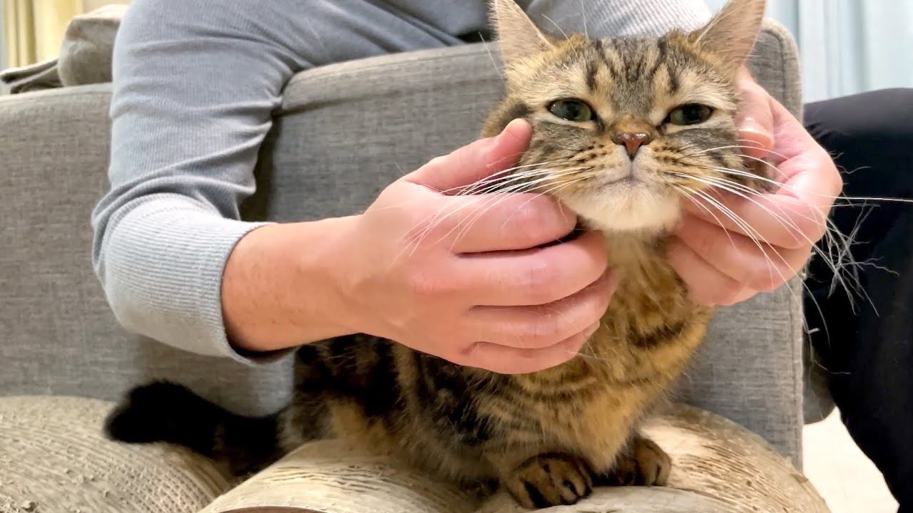 パパのゴッドハンドによる至高のフェイニャルマッサージ！？