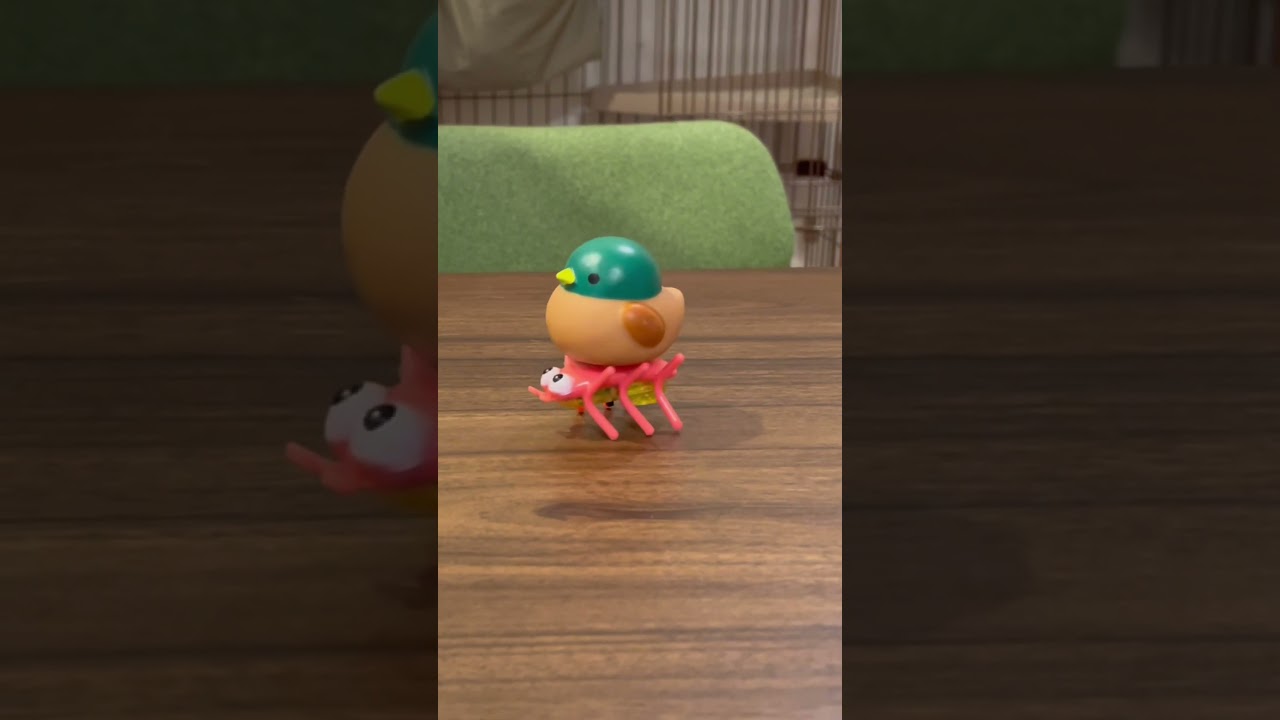 猫と動く虫のおもちゃで遊んだら…？ #shorts #猫 #アビシニアン