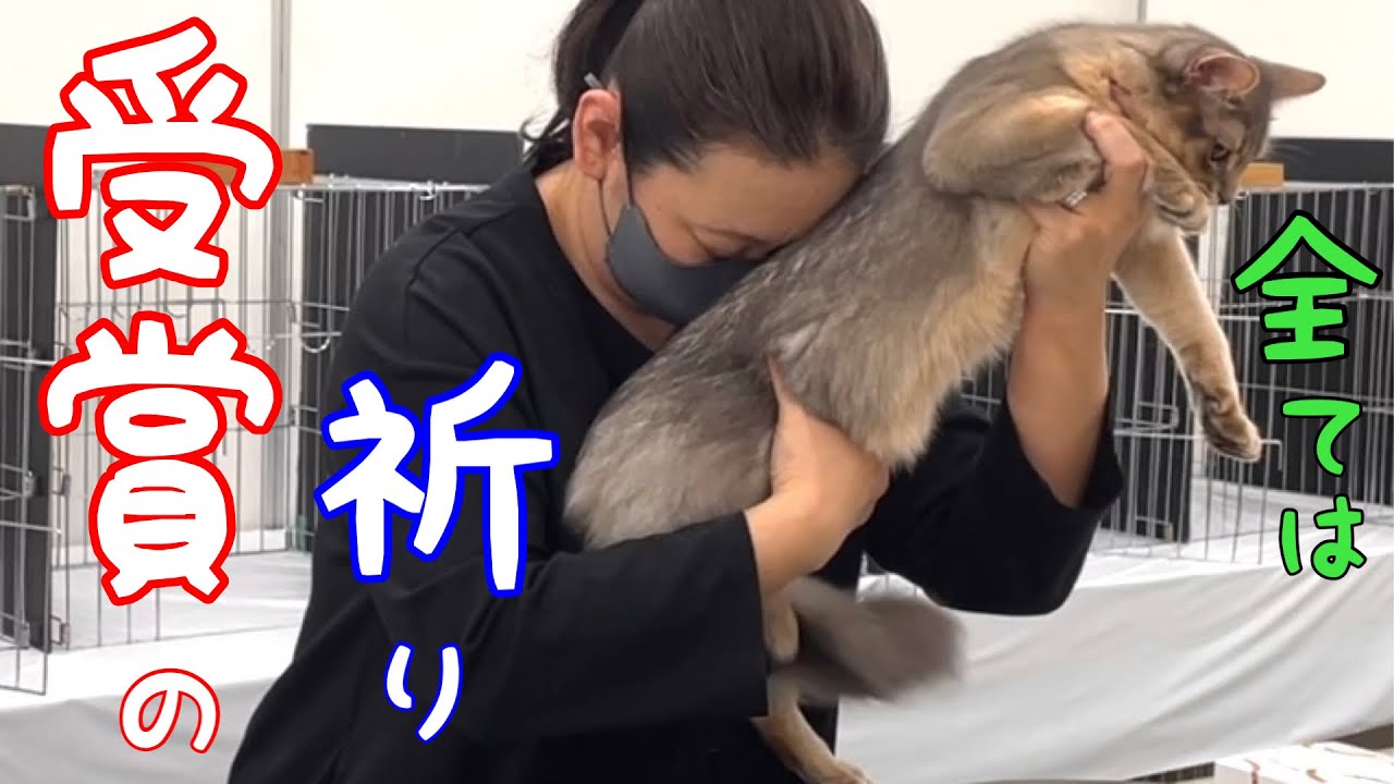 全身全霊出しきった…その結果❗️【ソマリ】