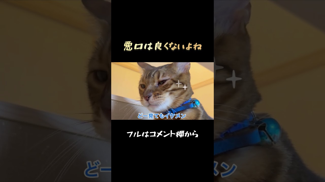 息子vs父 #shorts