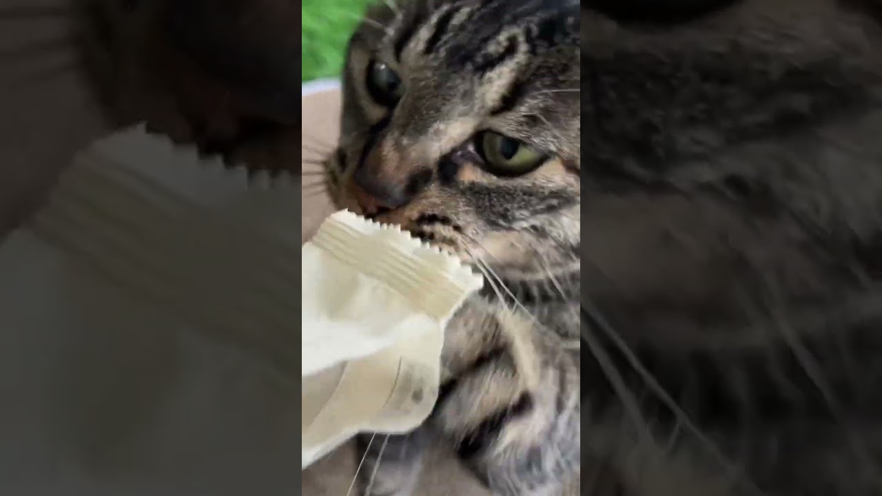 ちょっと嗅がせて