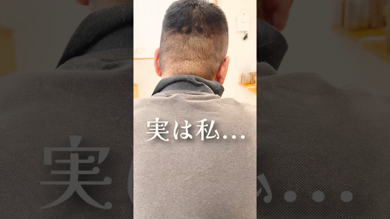 実は私... #猫 #マンチカン #shorts