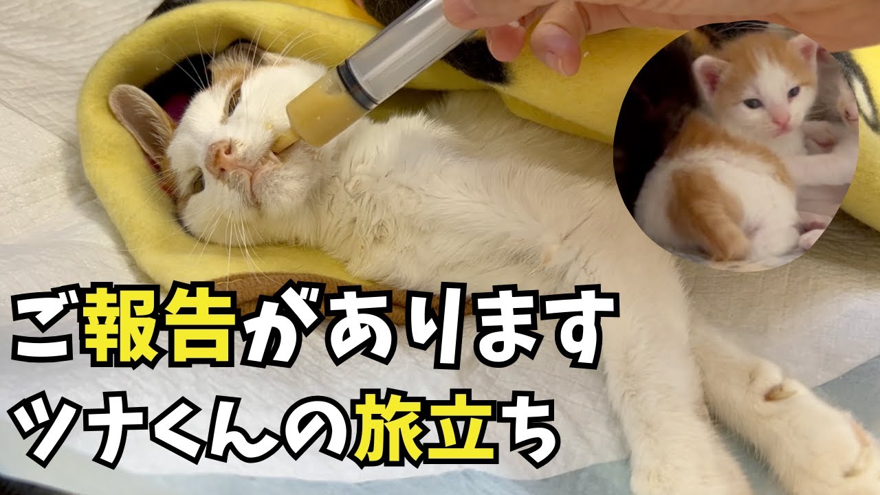 ご報告があります