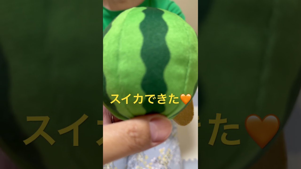 流行りのスイカゲーム！そらちゃんとやってみた（ロシアンブルー）#shorts