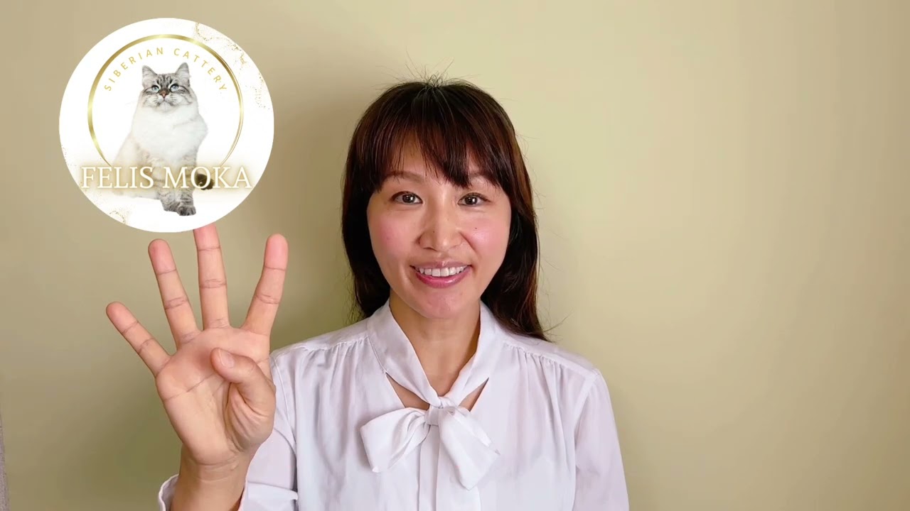 【ペットショップ、ペットブリーダーの選び方５つのチェックポイント】/東京都吉祥寺サイベリアンブリーダーフェリスモカ