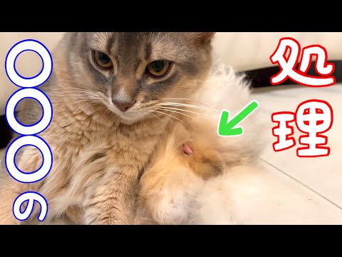 アノ後…◯◯◯のメンテナンス❗️【ソマリ】