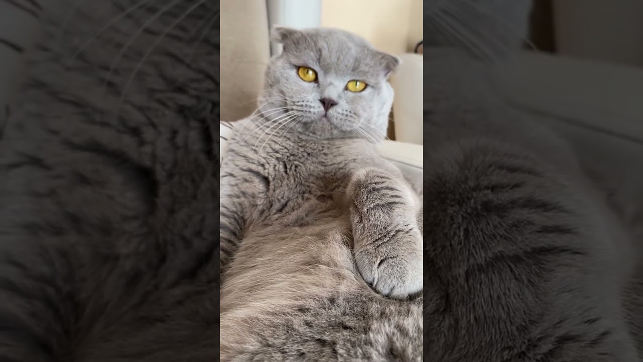 Şu tatlılığa bakar mısınız ❤️