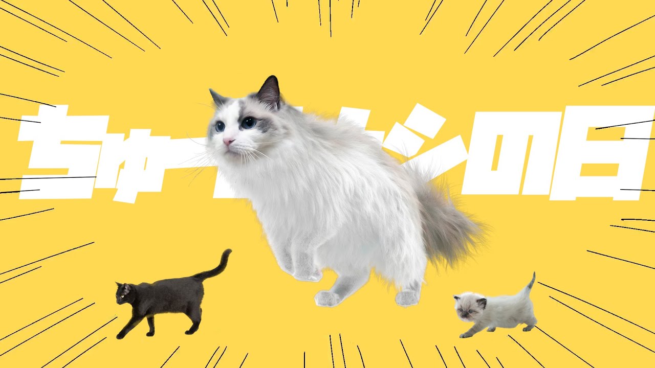 寝起きヤシの木/猫ver.【ちゅ〜るナシの日】