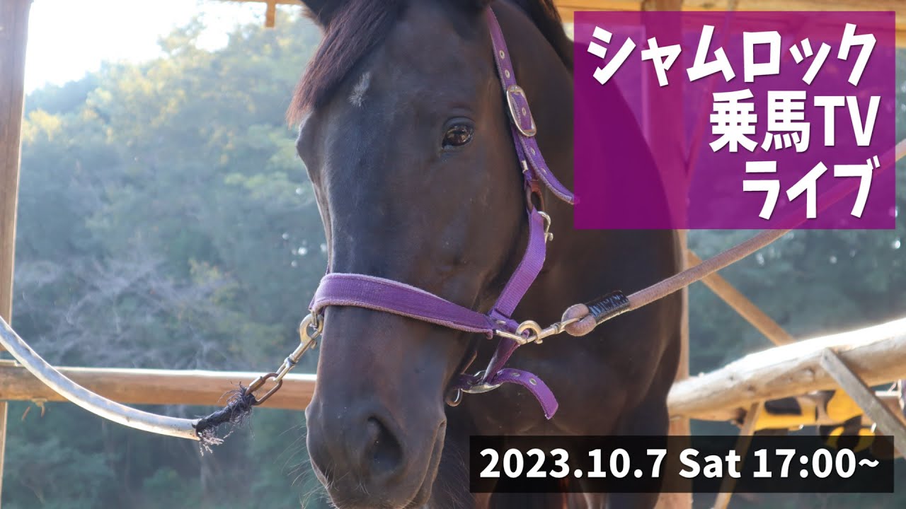 シャムロック乗馬ライブ/第3四半期