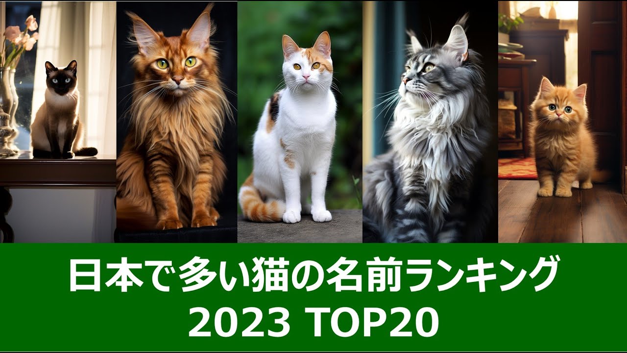 日本で多い猫の名前ランキング2023 ベスト20