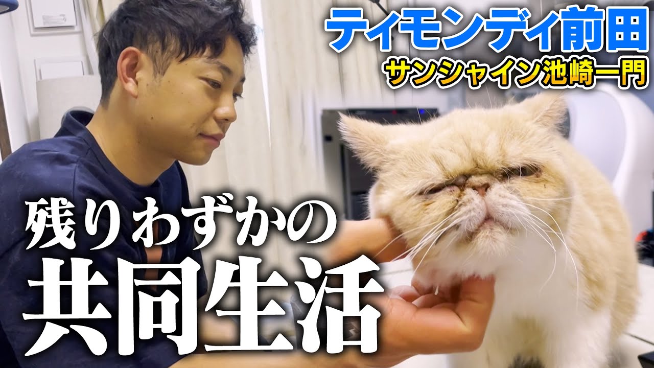 【保護猫活動】明日いなくなる「むぅばあ」実感がわかないティモンディ前田は・・・