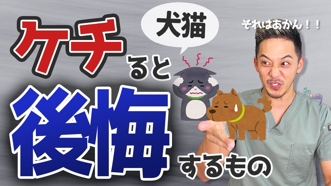 【犬猫飼い主必見】ココだけは削っちゃダメ！犬猫の飼育で節約NGなもの３選