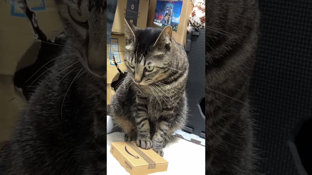 配達員「再配達で指定した時間になんで家に居てくれないんだい💢」