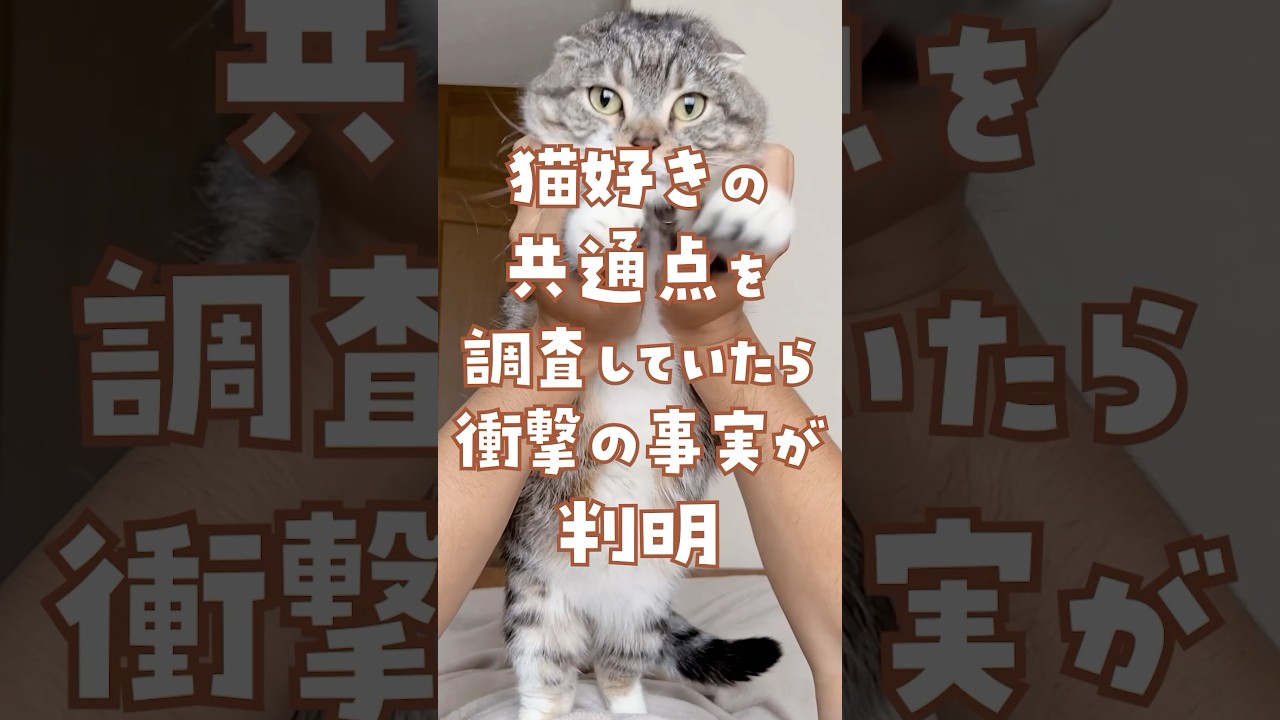 猫好きの共通点を調査いたら驚きの結果に… #猫
