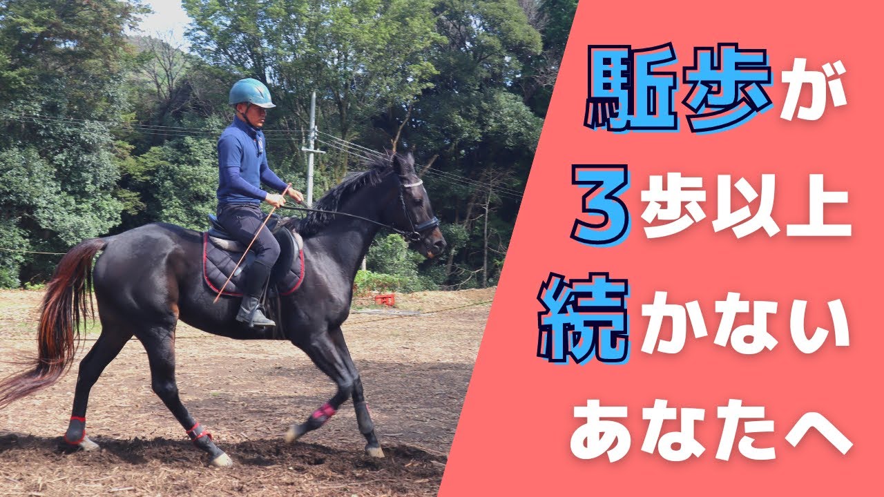 正反撞と軽速歩の間に/駈歩が3歩以上続かないあなたへ