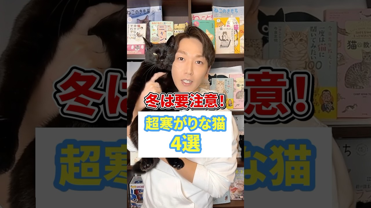 冬は要注意！超寒がりな猫4選