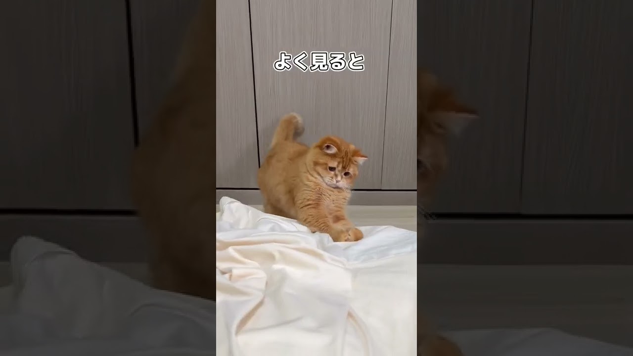 急に踊り始めてめっちゃ笑いました #shorts