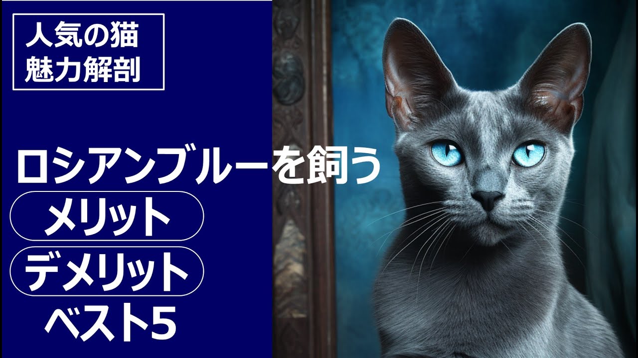 人気の猫 魅力解剖！ロシアンブルーを飼うメリット・デメリットベスト5