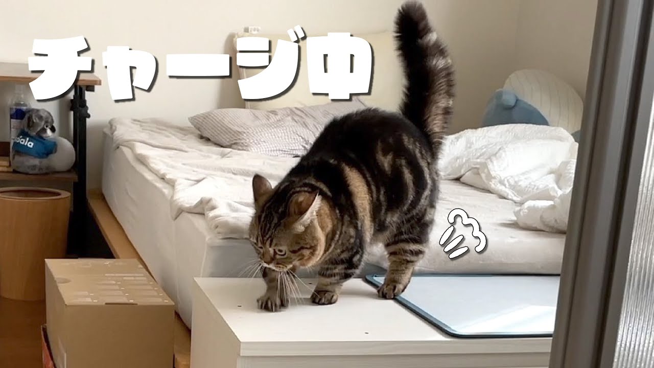 給水ポイント=安全地帯だったようです。