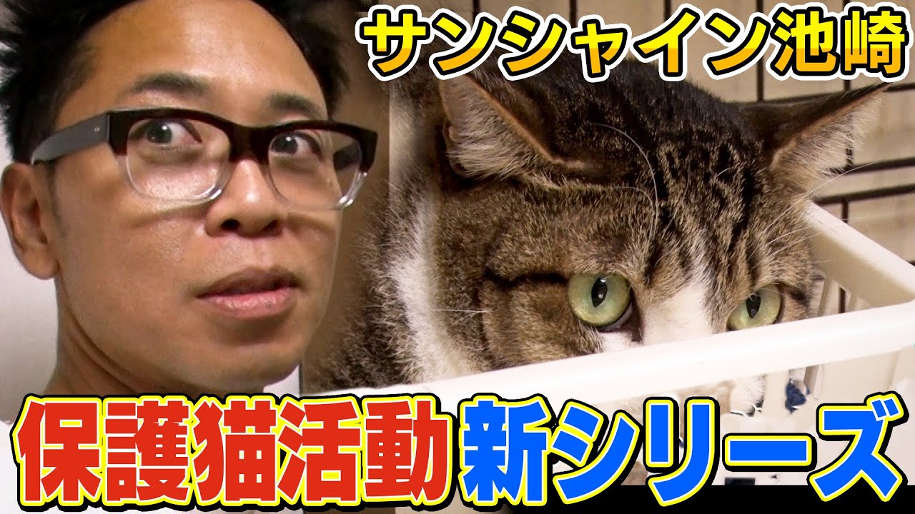 【保護猫活動】猫おじさん！遂に新シリーズ開幕！【サンシャイン池崎】