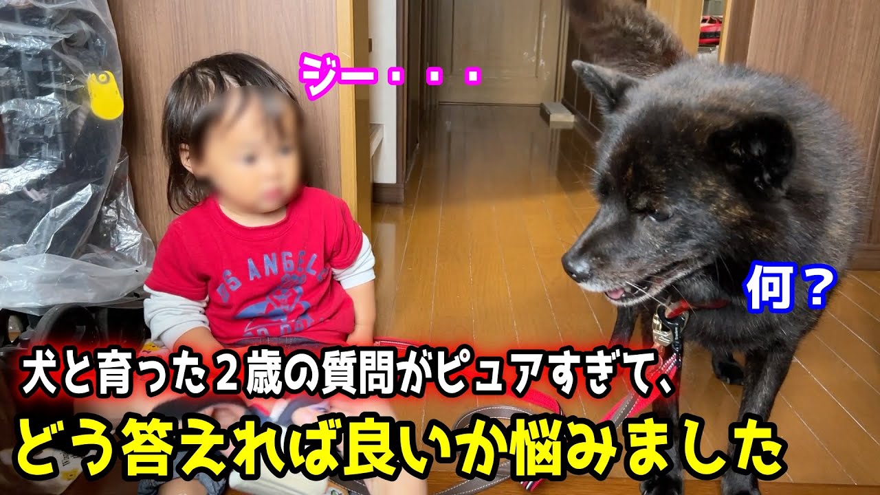 【ほっこり】犬と共に育ったが故に抱くピュアな質問