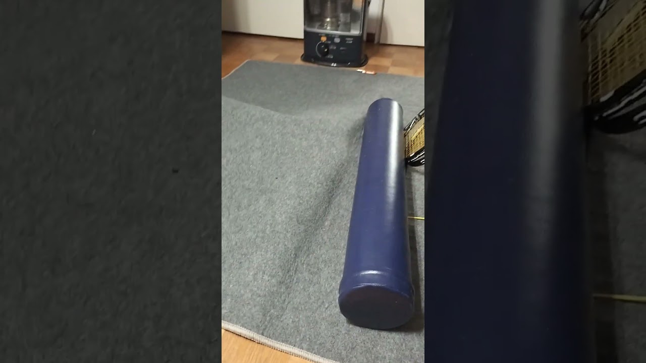 ネコ動画あび#2598　#shorts　#あび #ねこ #ネコのあび #猫動画