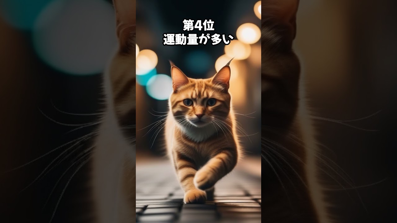 人気の猫 魅力解剖！シンガプーラを飼うデメリット ベスト5 #shorts