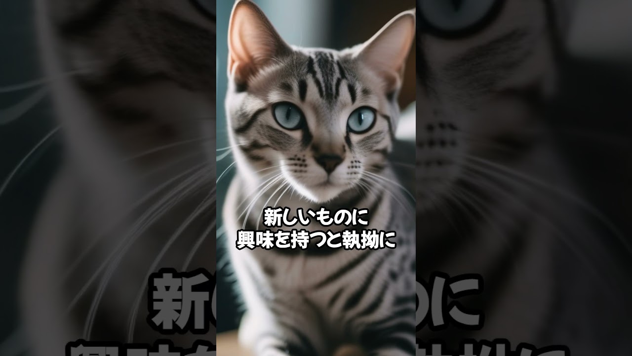 人気の猫 魅力解剖！エジプシャンマウを飼うデメリットベスト5 #shorts