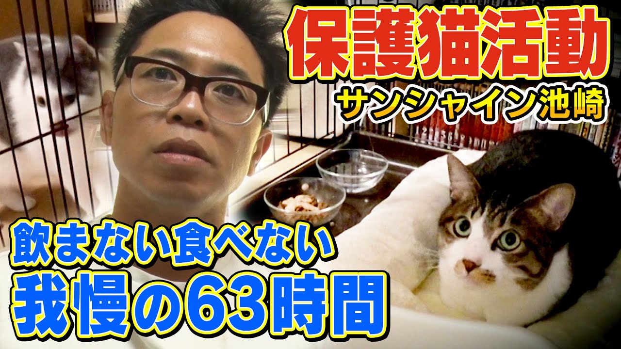 【サンシャイン池崎】家に来て３日以上飲まず食わずの保護猫佐吉が…【猫おじさん！遂に新シリーズ】