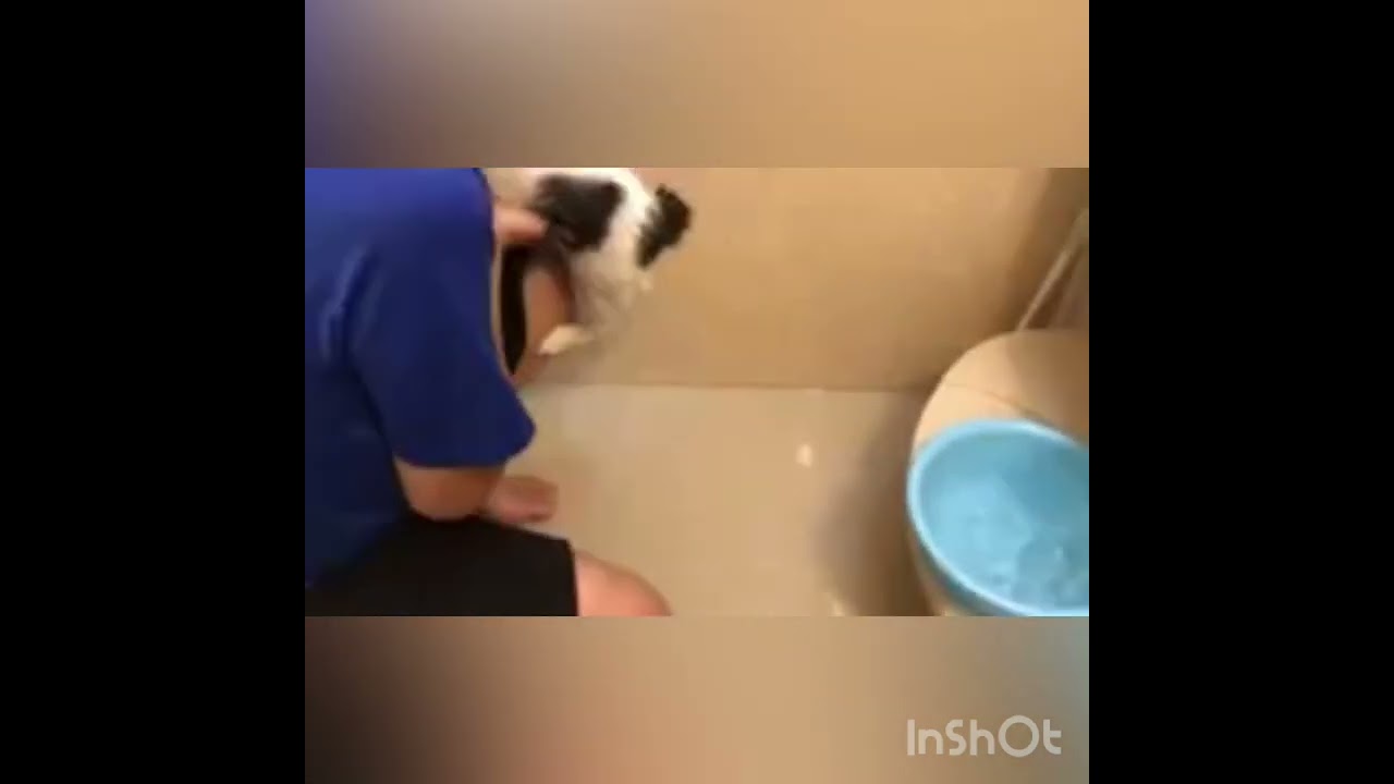 パパさんと初めてのお風呂「もう終わりにするにゃ〜」