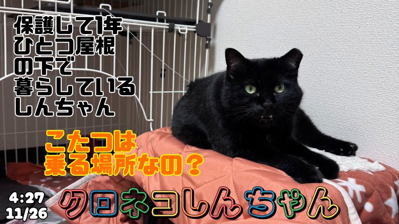 ひとつ屋根の下に暮らす様になって1年と6ヶ月〜 4:27 11/26