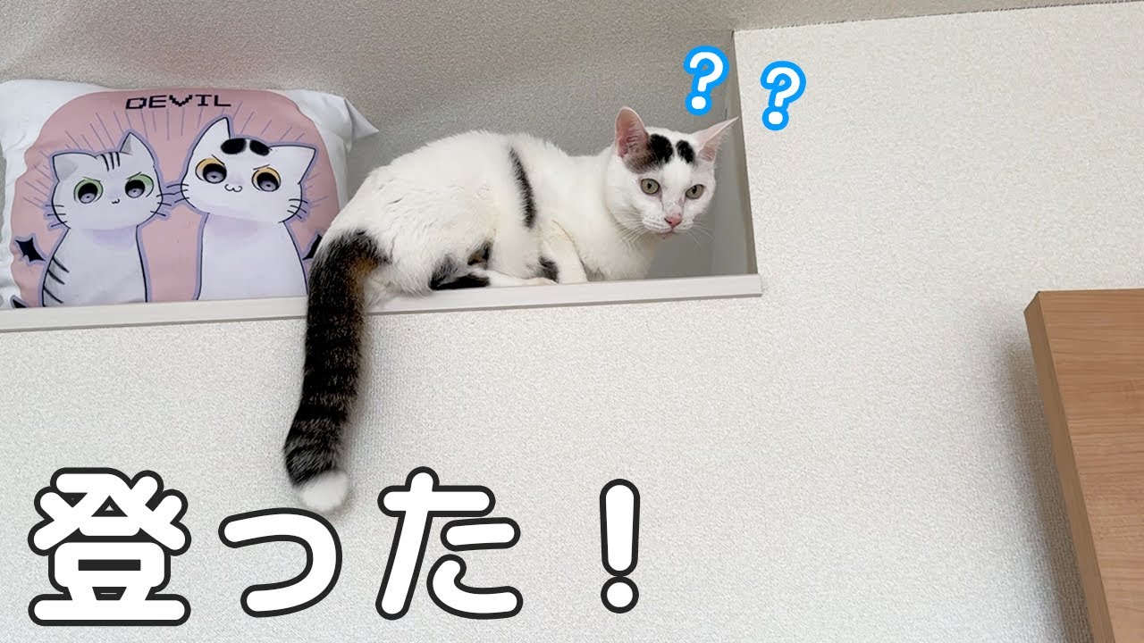 閉鎖してた高い場所に登ってしまいました…！