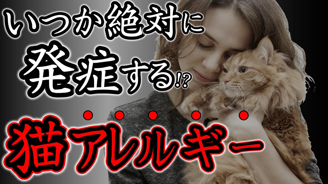 【猫アレルギー対策】飼育困難で飼えなくなる前に見て！