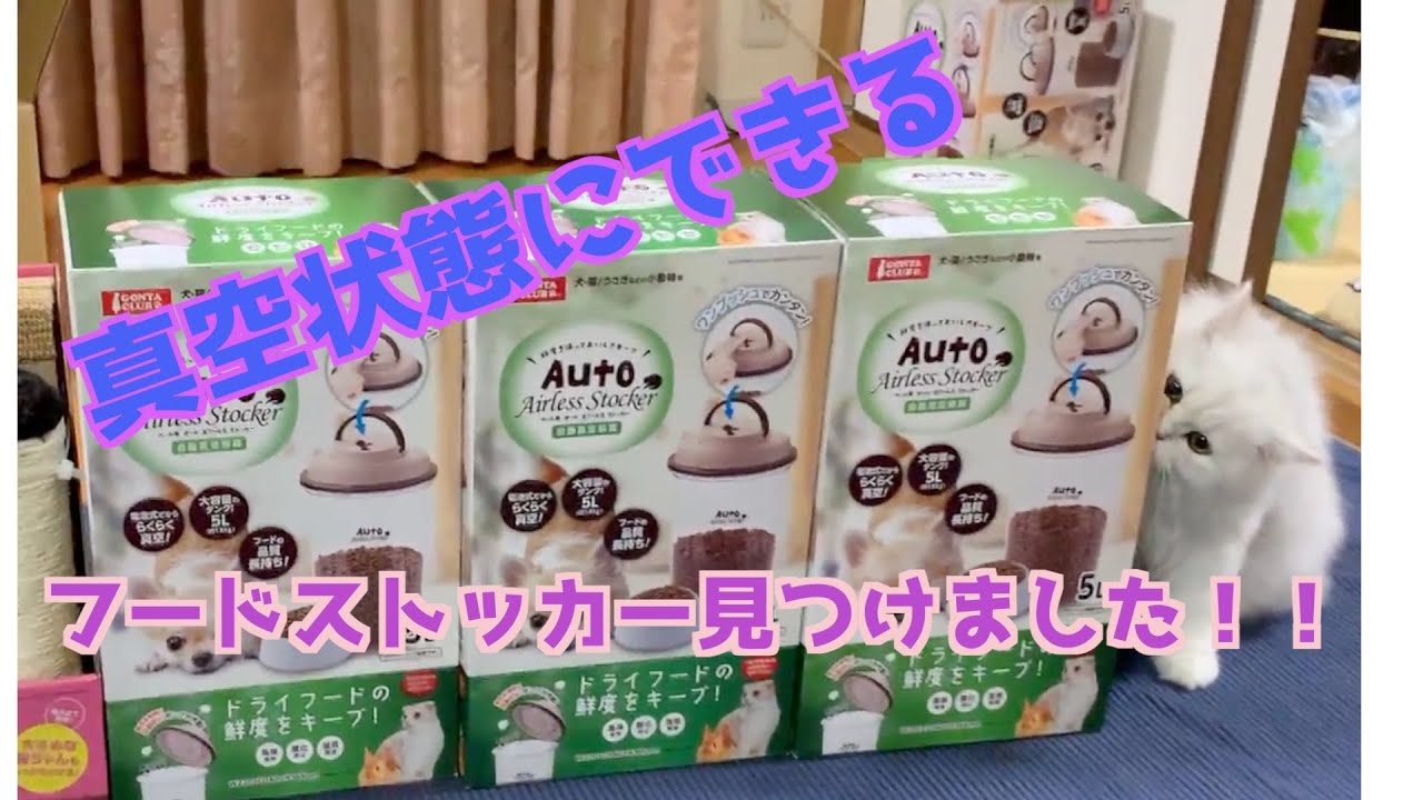 わが家のペルシャ猫フードストッカーの紹介です