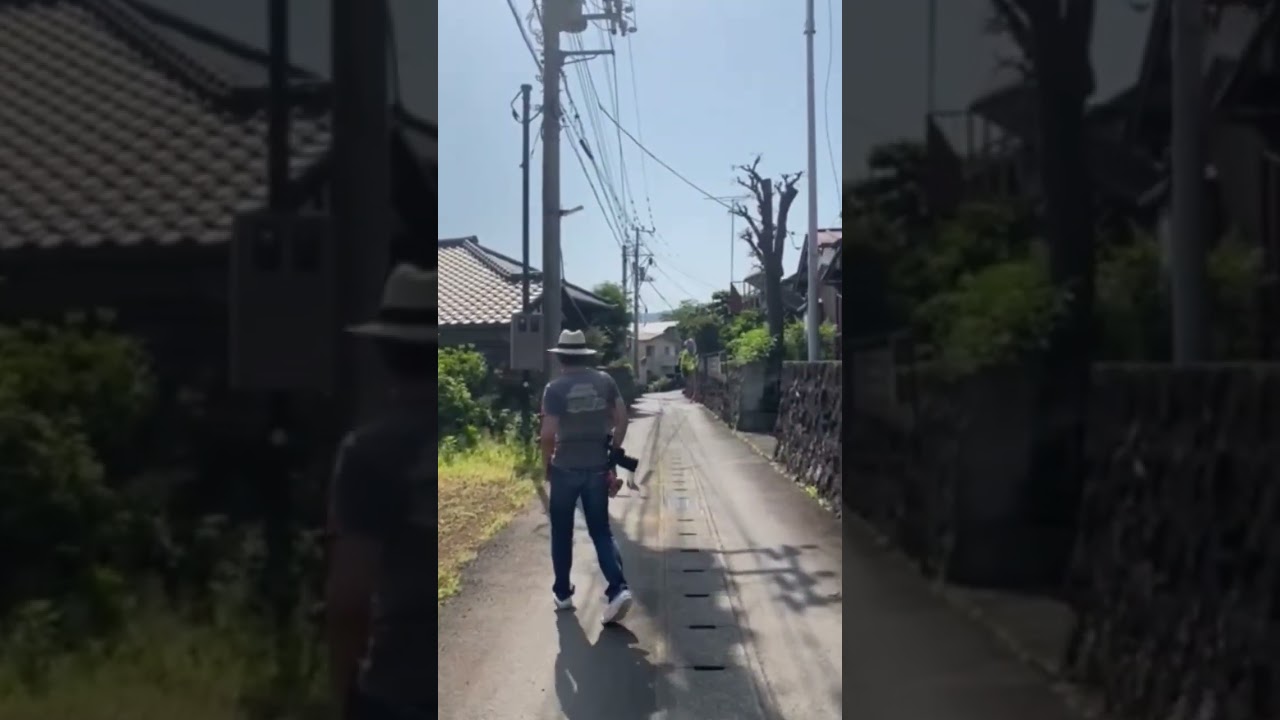 ５月の風と快晴の青空が気持ちいいね！今朝もお散歩楽しいニャン！｜ジャパニーズ・ボブテイル｜熱海｜伊豆｜南熱海｜日本猫｜三毛猫｜猫散歩