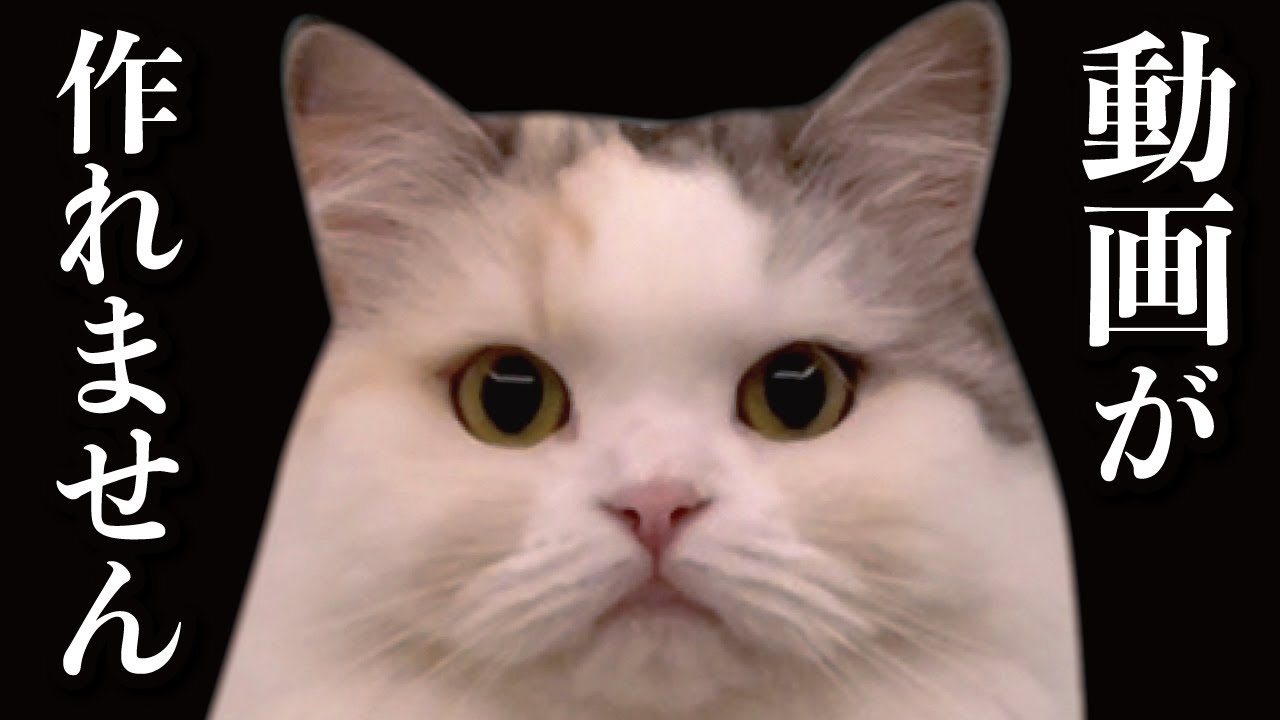 こんなん見せられて仕事できるやつおるの…？【関西弁でしゃべる猫】【猫アテレコ】