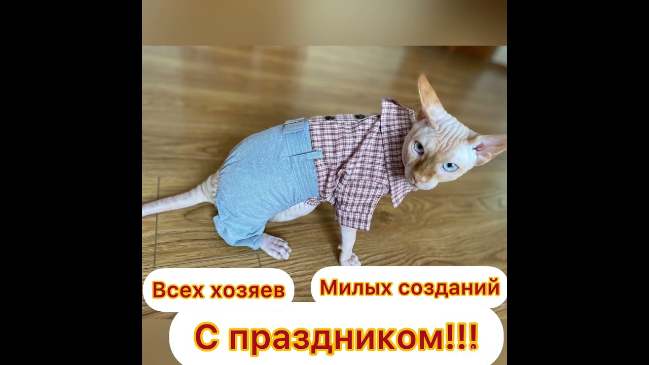 С праздником!!! Меня, любимого❤️