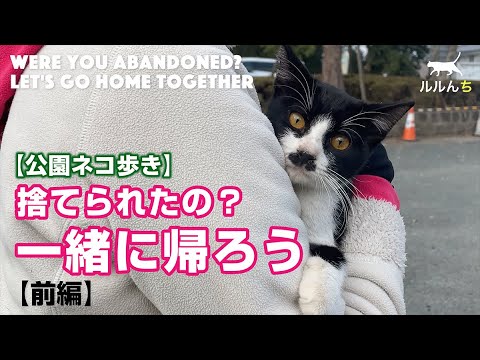 【激痩せ子猫保護】急遽病院へ、かわいい子猫とお家へ帰るために【English subs】