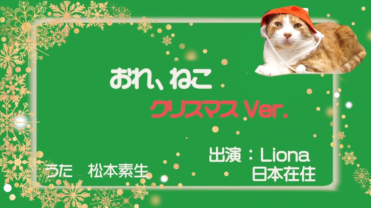 「おれ、ねこ」リオナ ✕ クリスマス eテレ  Hawaiian cat Liona