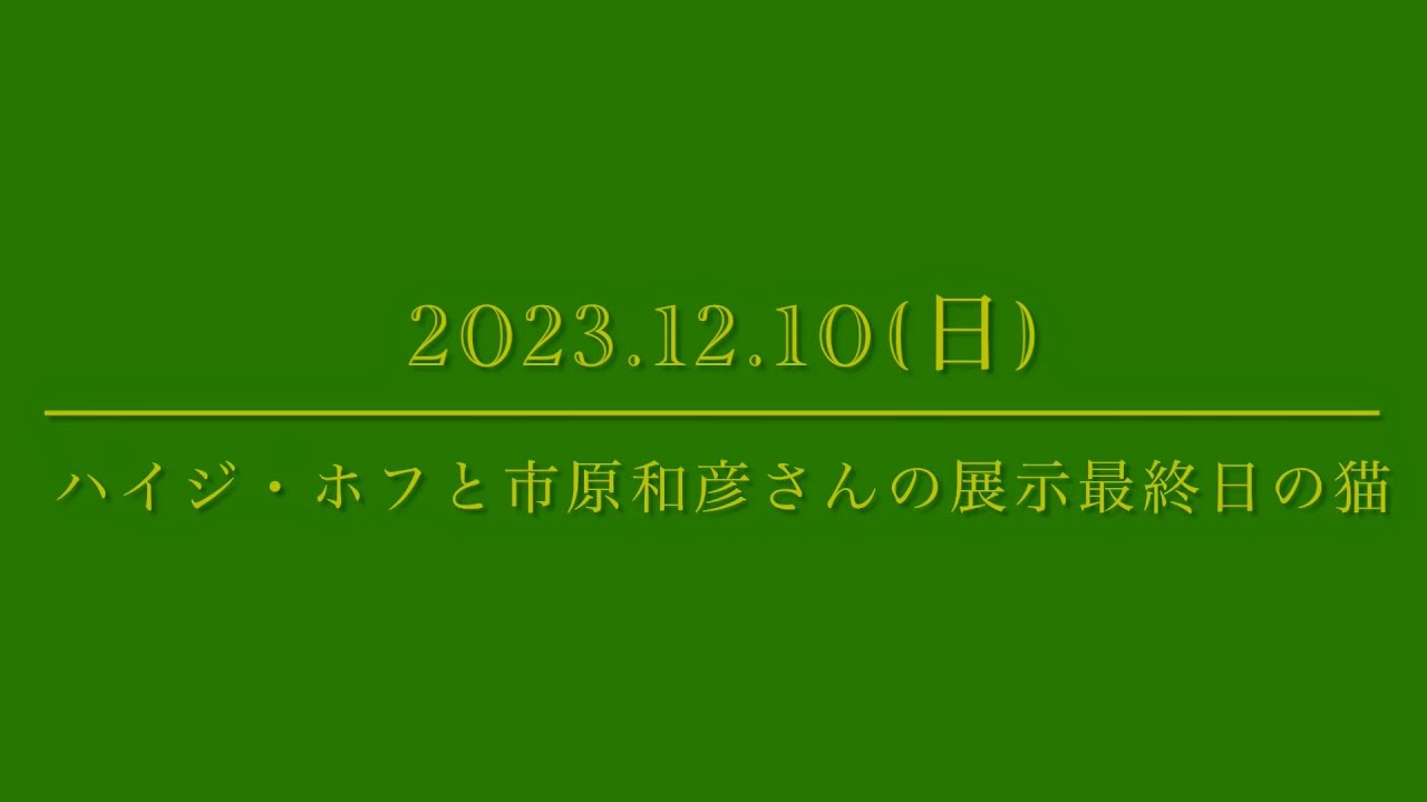 #風の猫　2023.12.10(日)　ハイジ・ホフと市原和彦さんの展示最終日の猫…【さっちゃんとおばあちゃんの散歩・430日目】①～③・・・