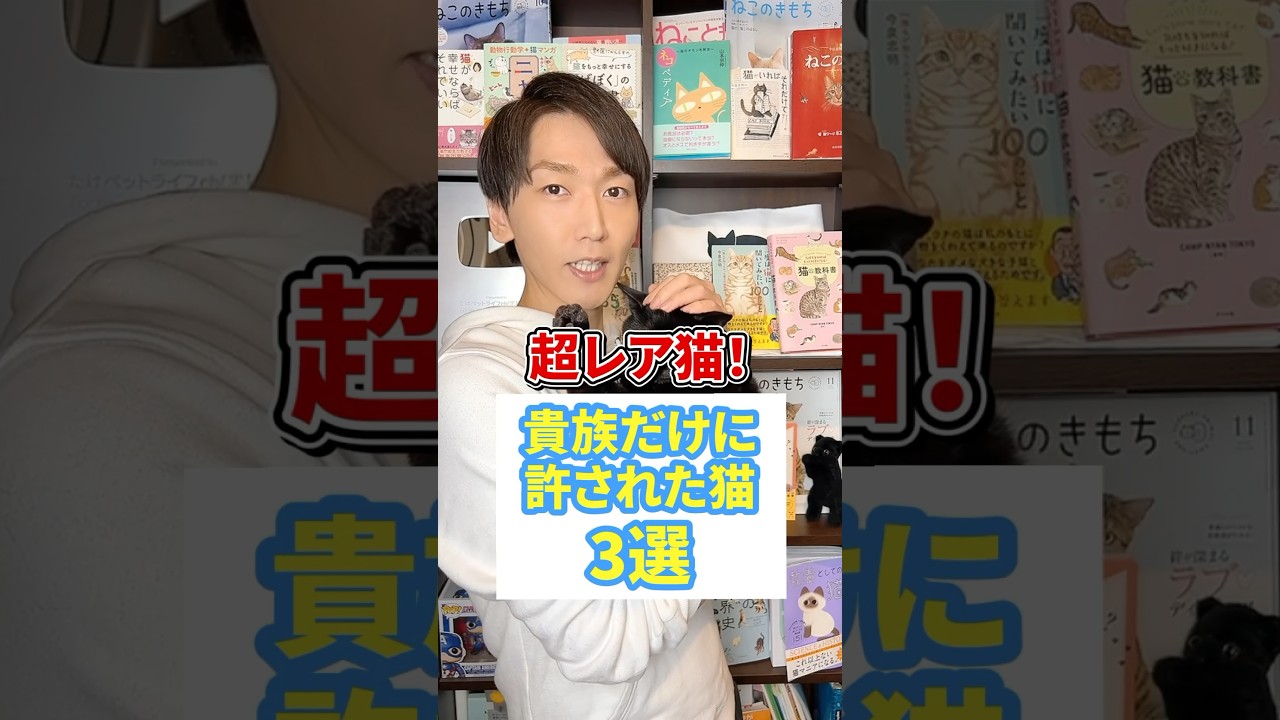 超レア猫！貴族だけに許された猫3選 #猫 #cat #猫になりたい
